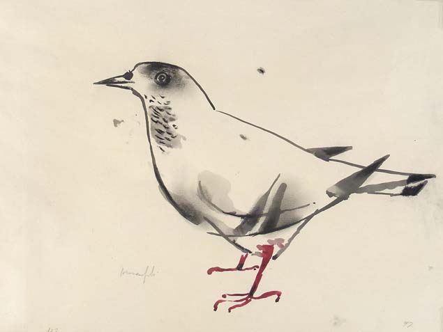 Alberto Manfredi, a dove